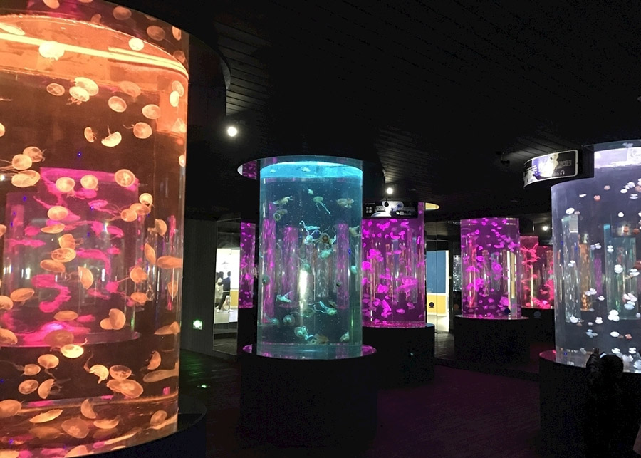 水族馆.海洋馆设计案例效果图                     -13