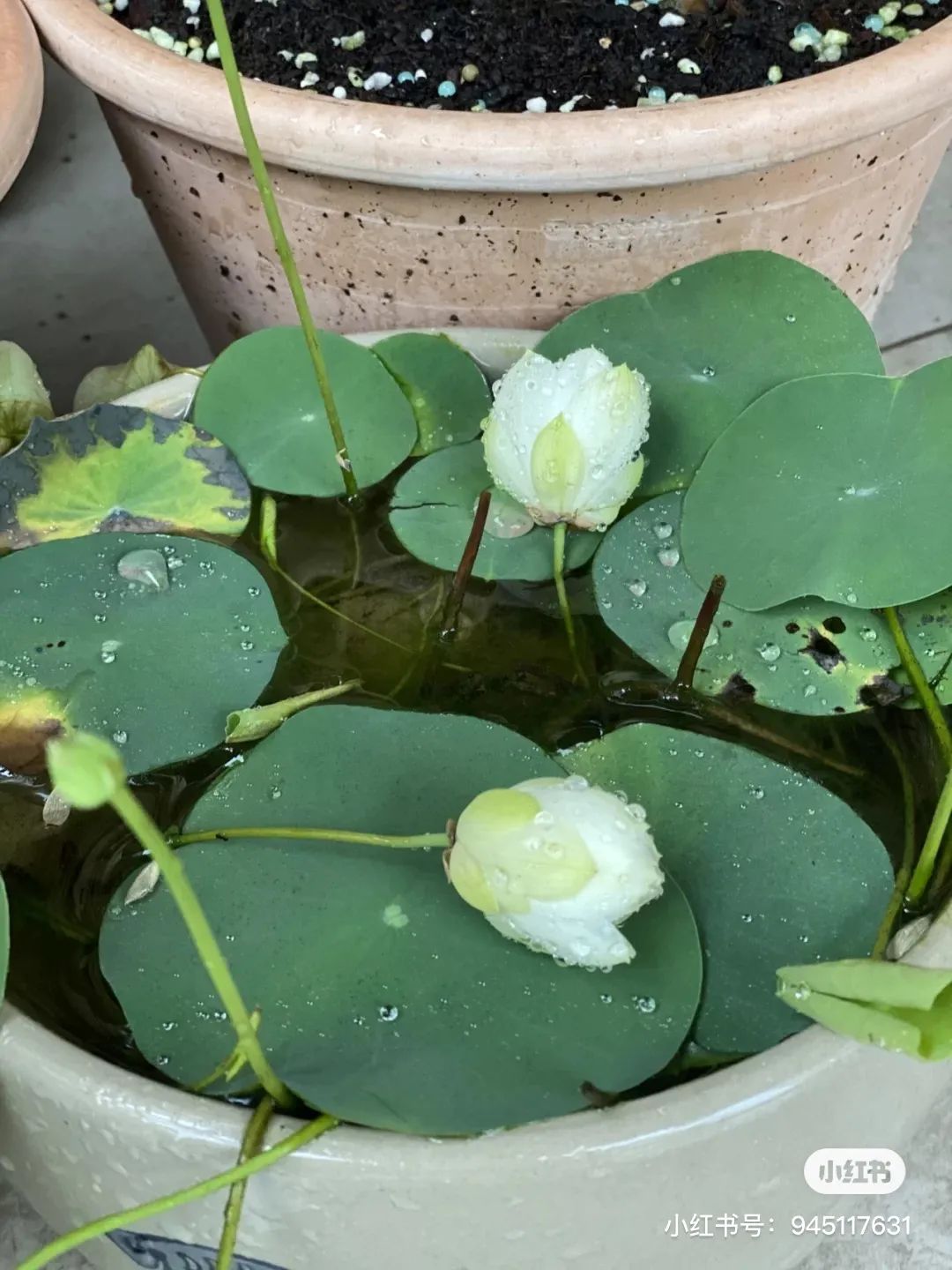 微物之光 · 成都 650㎡自然美学别墅设计丨中国成都丨STUDIO.Y 室内设计事务所-62