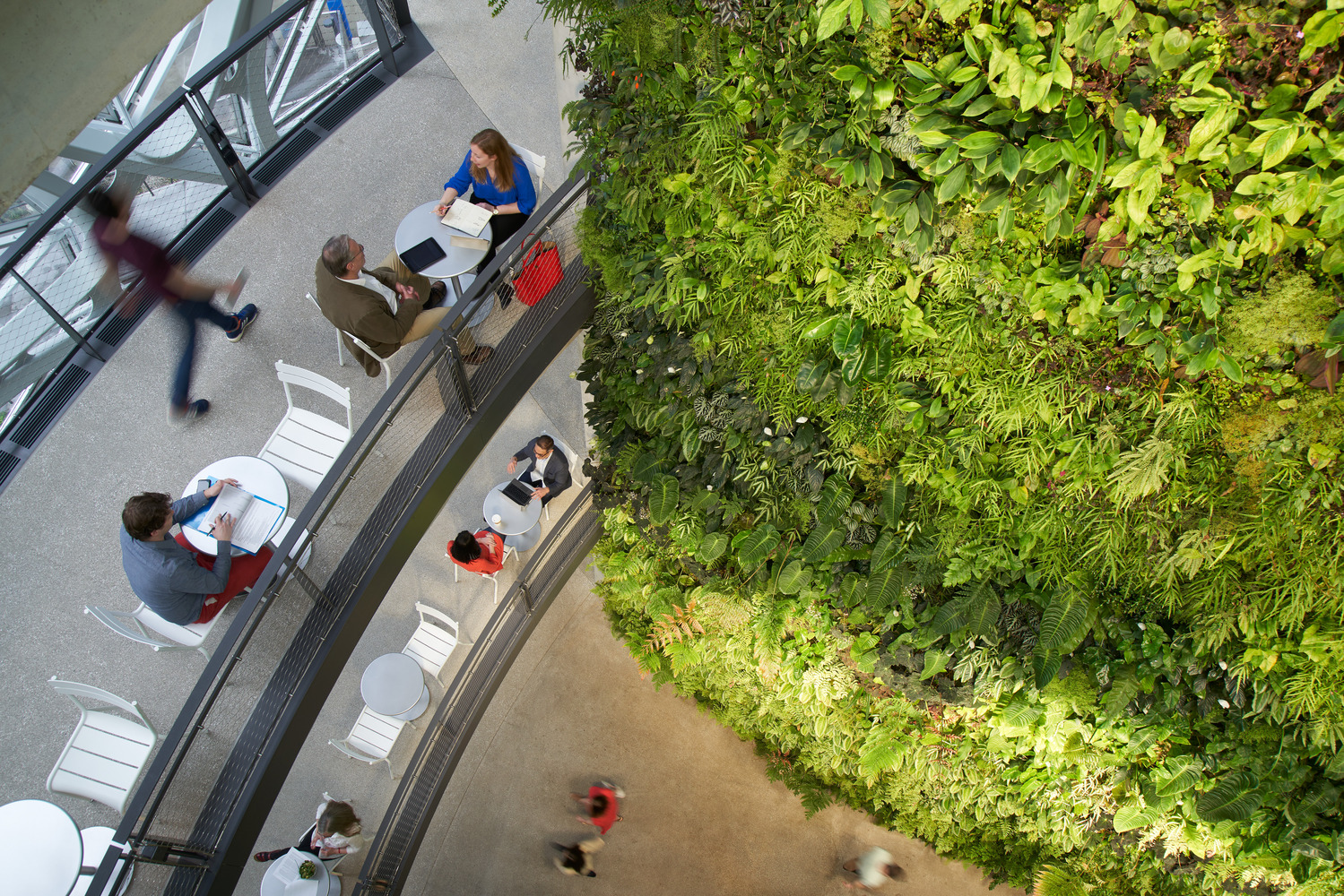 绿意盎然 Amazon Spheres 室内设计赏析-7