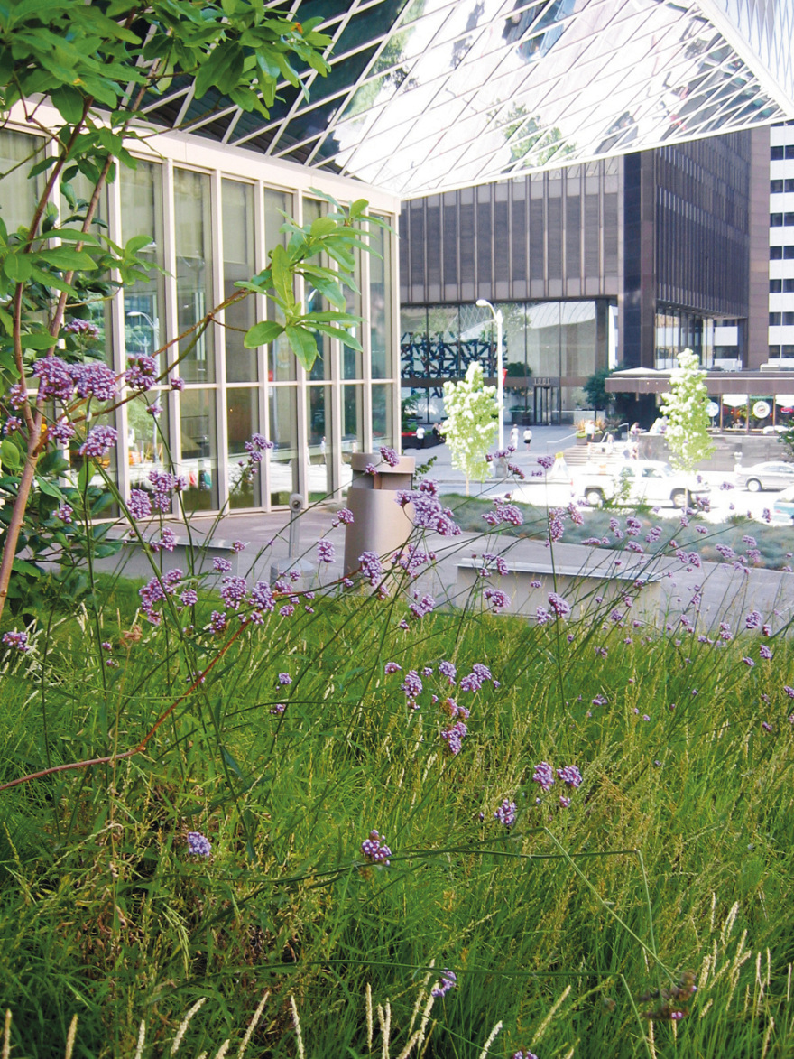 Seattle Public Library - Inside Outside-29