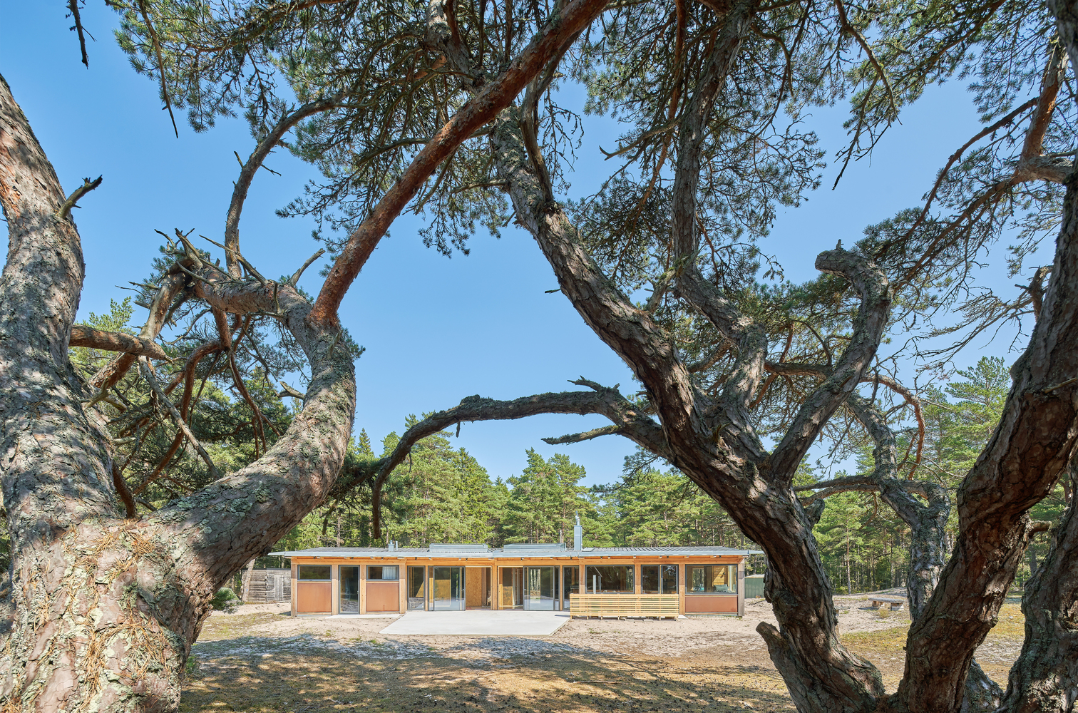 哥特兰海景度假屋 | 垂直木结构与大海的完美融合-37