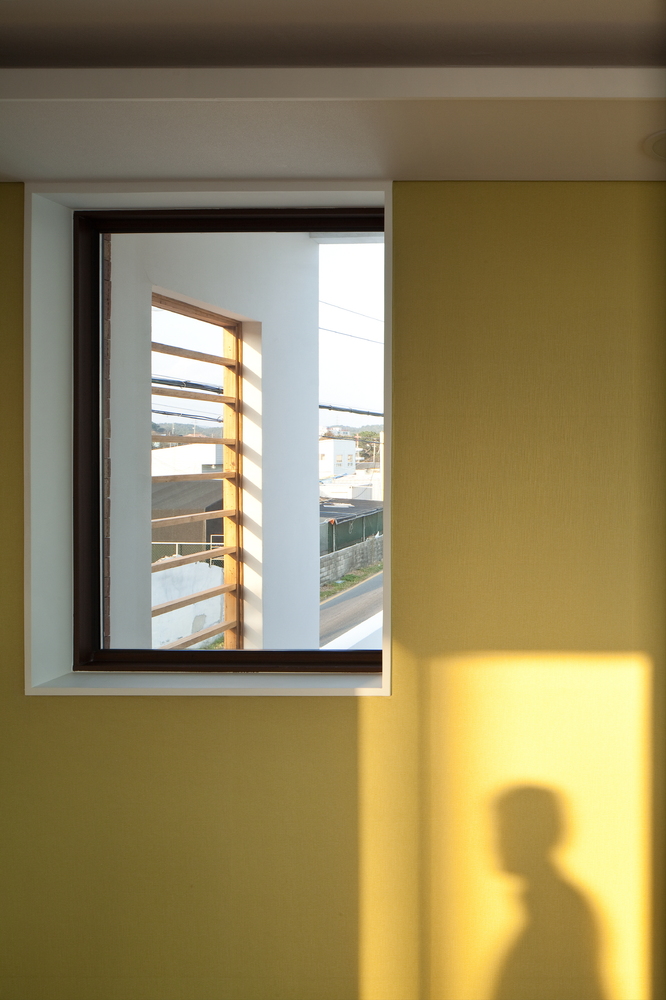 Half House  Architects Group RAUM-53