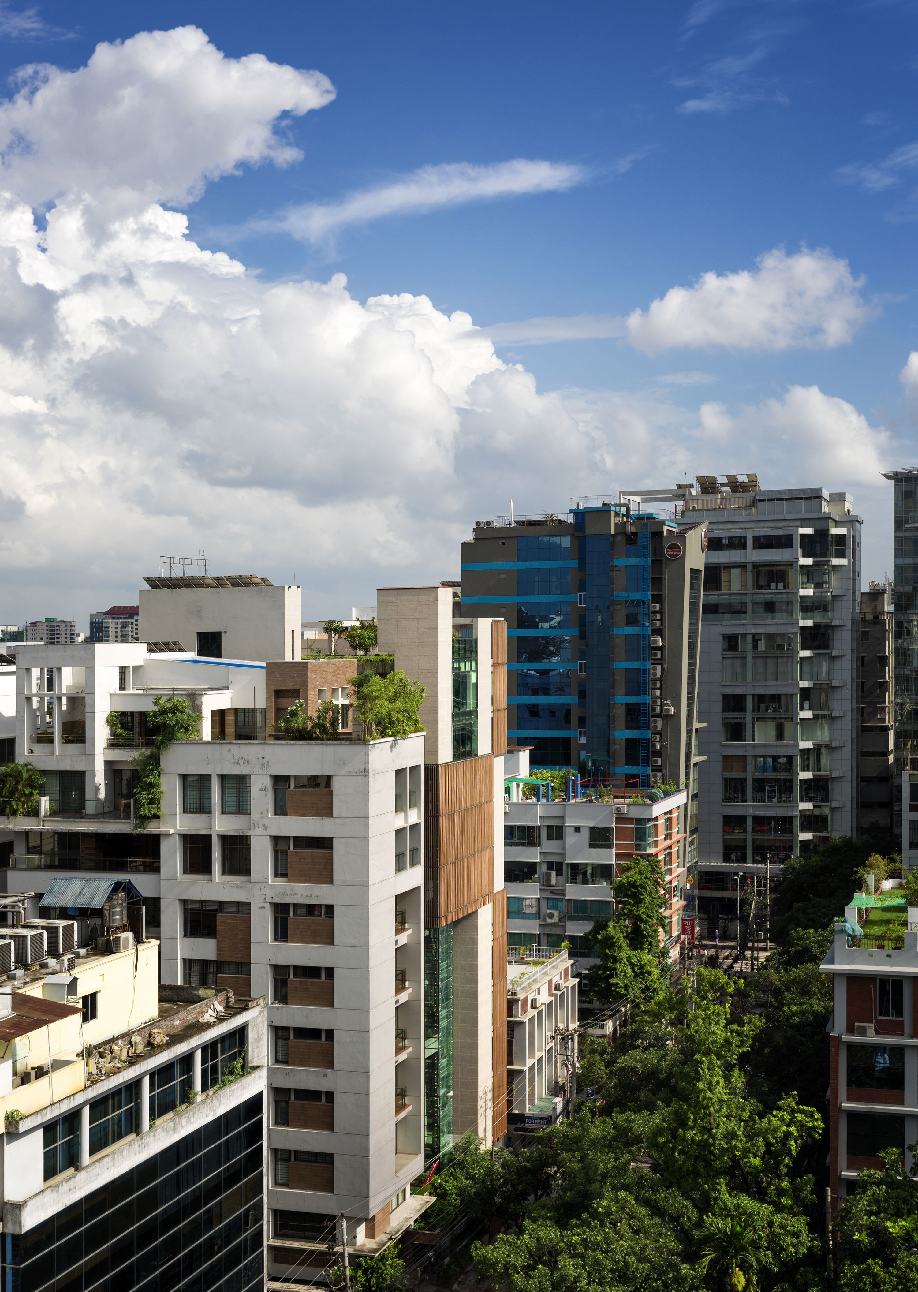 绿意盎然的都市森林办公楼-19