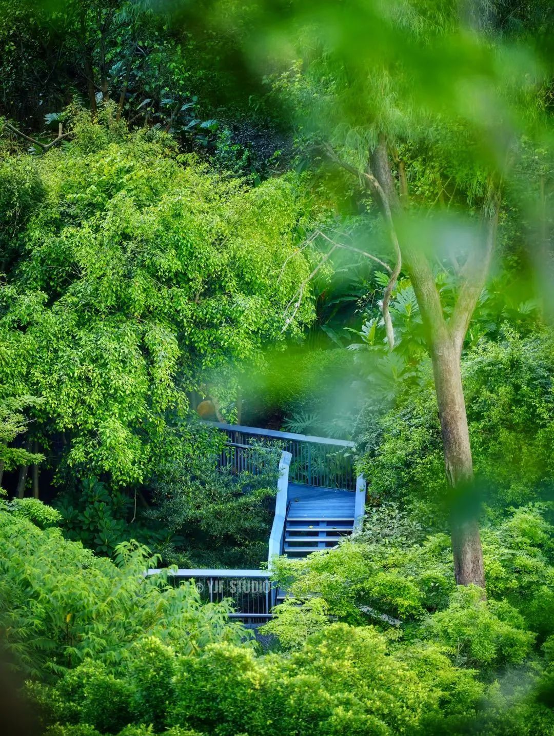 广州云萝植物园丨中国广州丨广州普邦园林股份有限公司-10