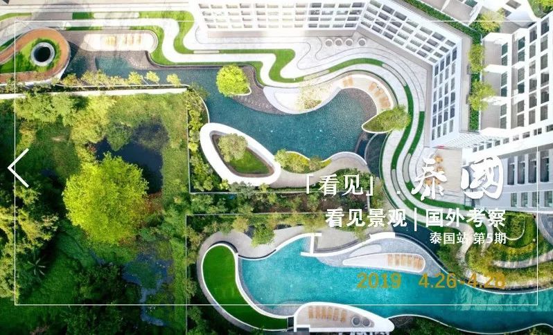 最美不过苔造园,探寻东方庭院的诗意之美-54