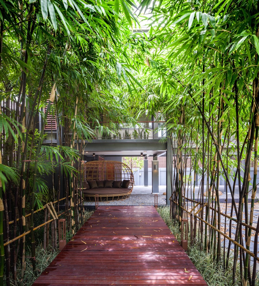 泰国 SALA Zen 树屋,自然与生活的融合-39