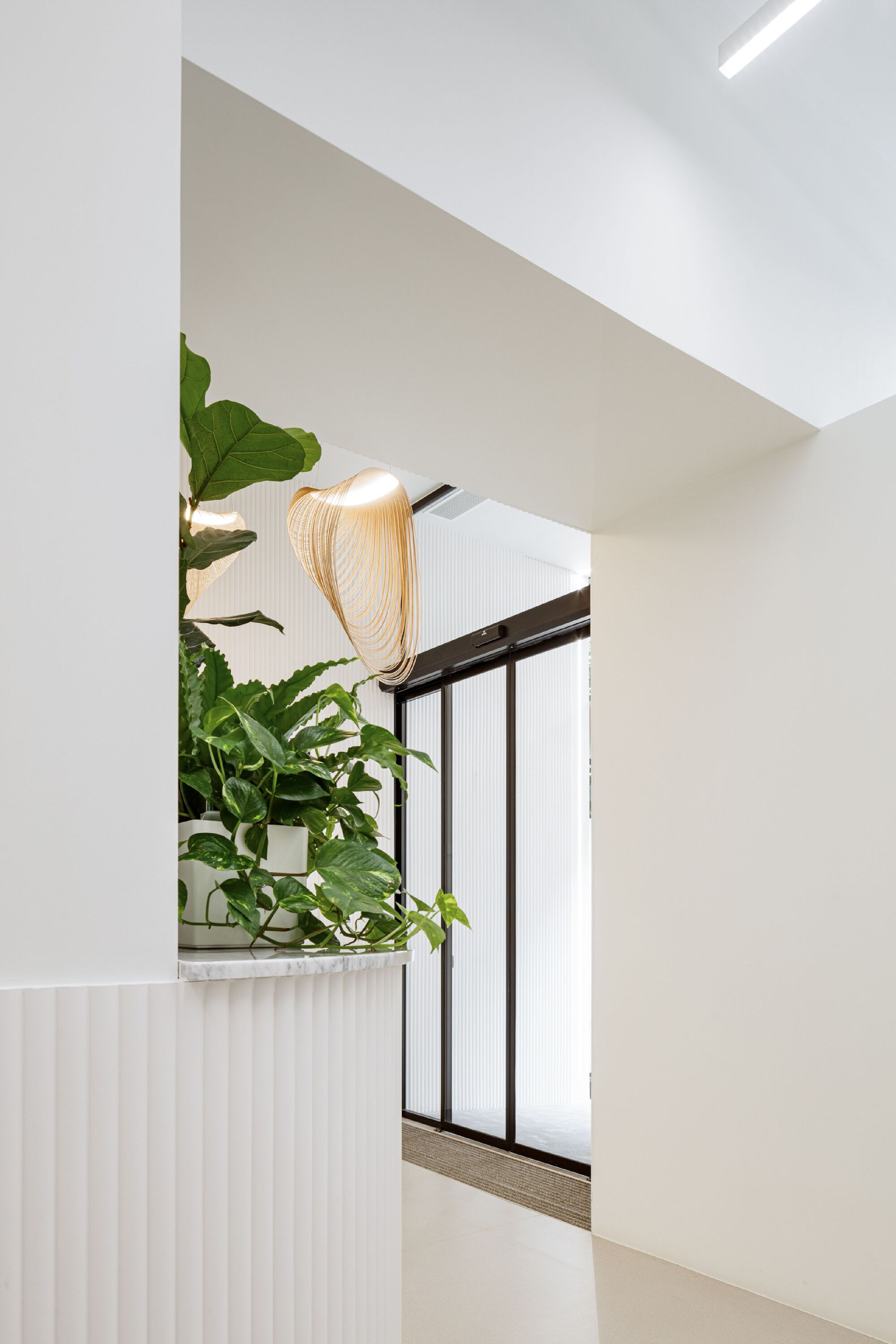 牙科诊所设计丨西班牙丨bvcr-7