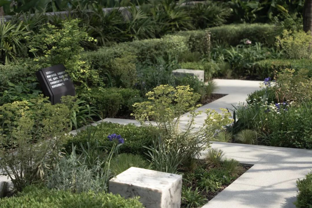 重庆 万科·璞玉丨A&N 尚源集序Collection Studio-42