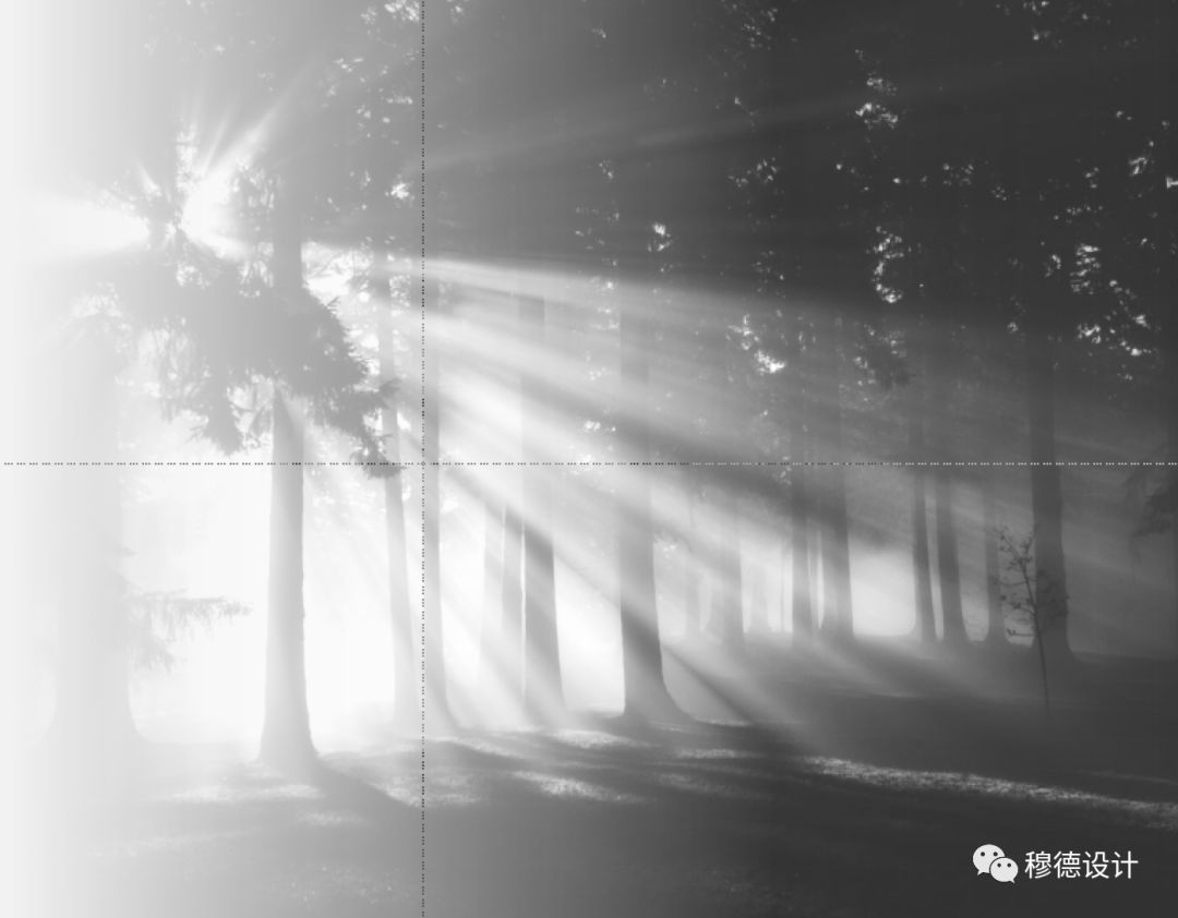 鹿山悦江府售楼中心 | 密林之光，现代设计诠释自然之美-73