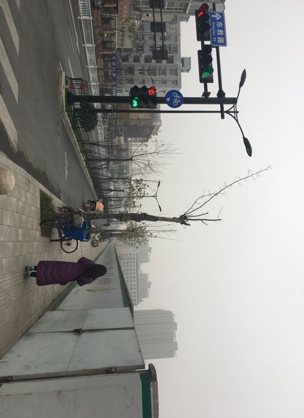 杭州大家生活艺术馆 | 极简景观与生活品质的融合-27