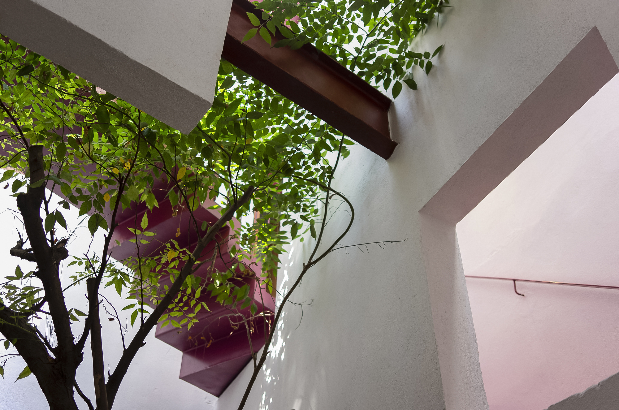 马松 TT丨越南丨NghiaArchitect-11