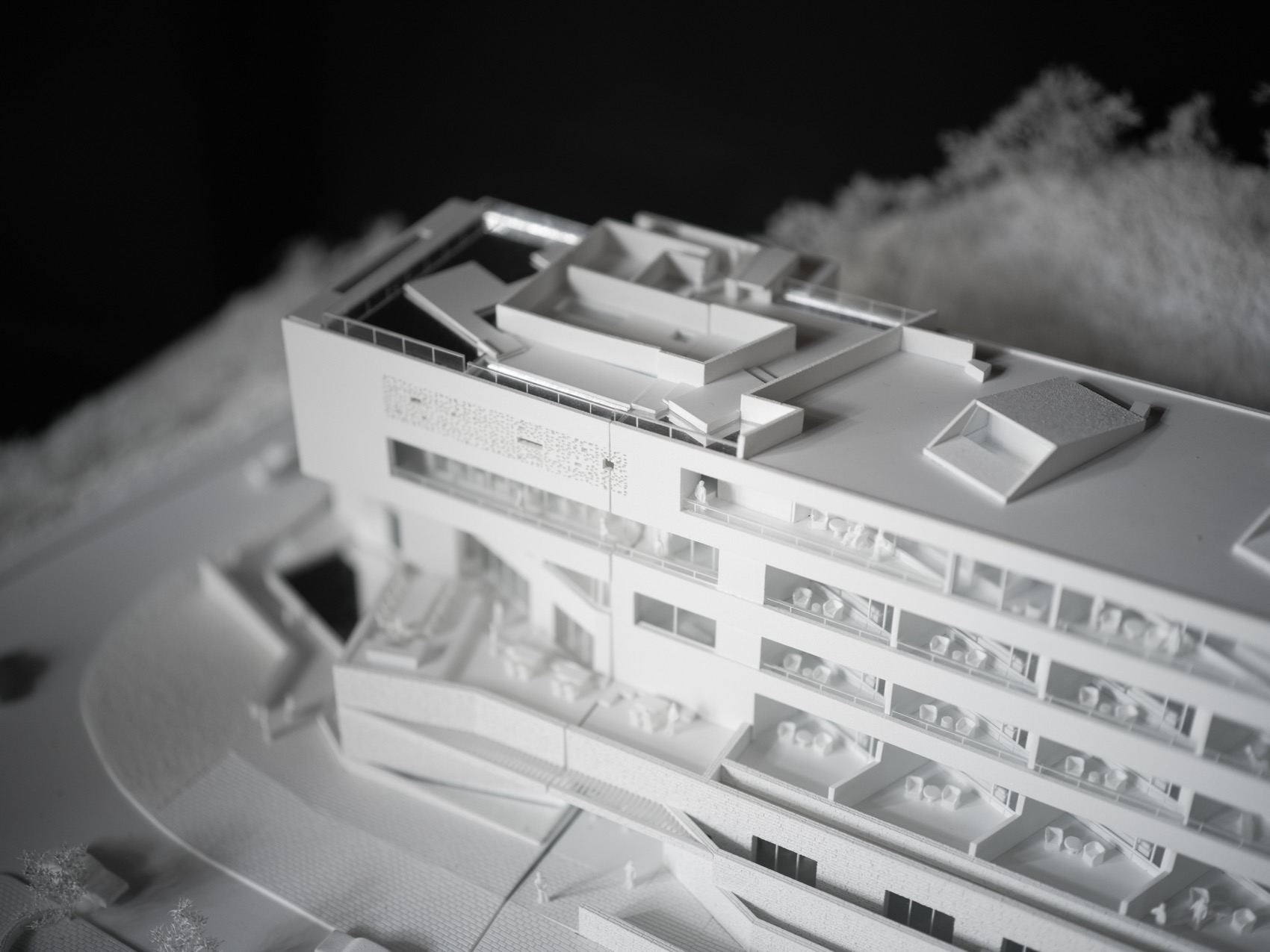 梅里泊度酒店丨肯尼亚南迪丨BUZZ庄子玉工作室-31