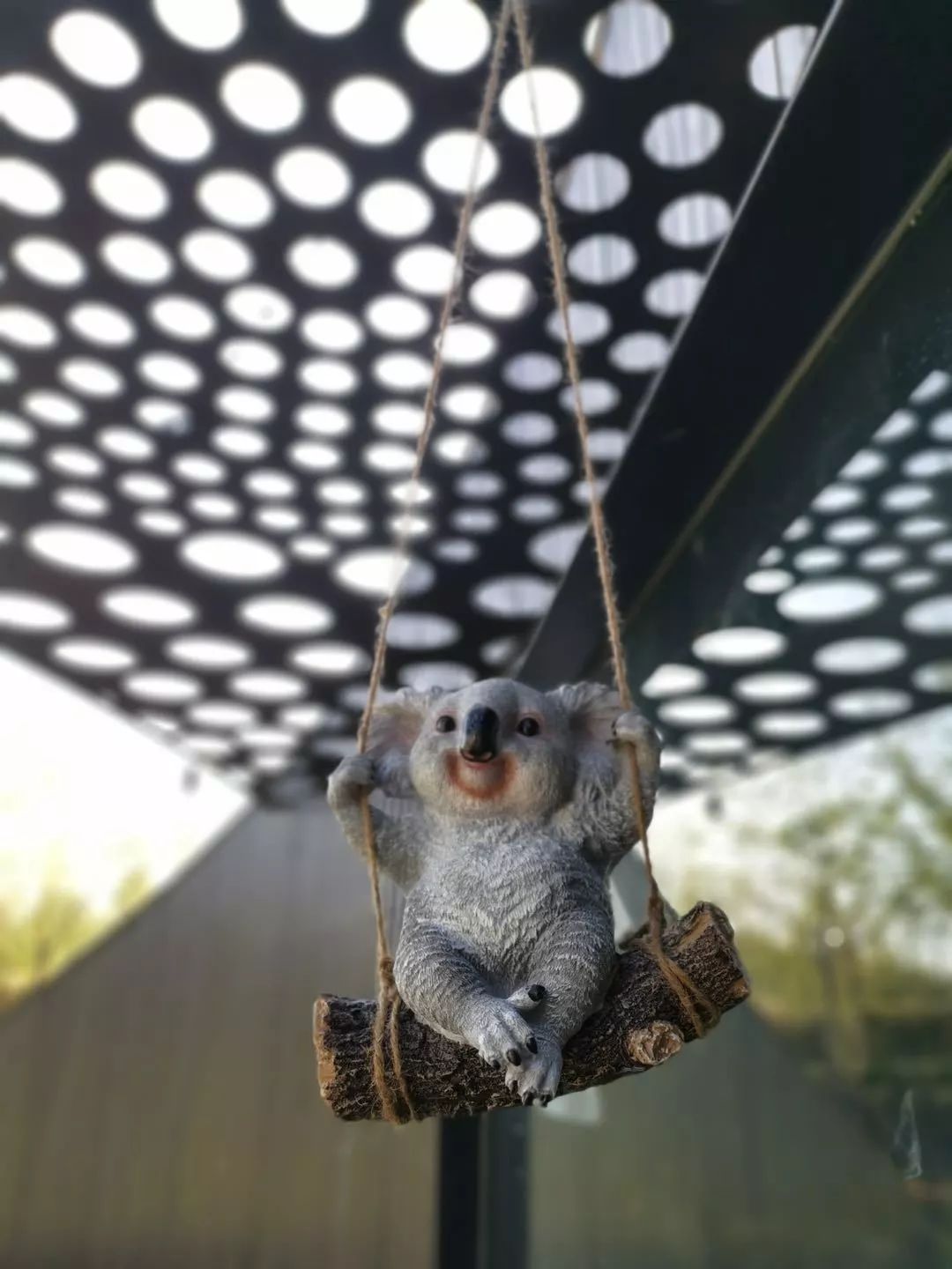 世园会澳大利亚园丨中国北京-86