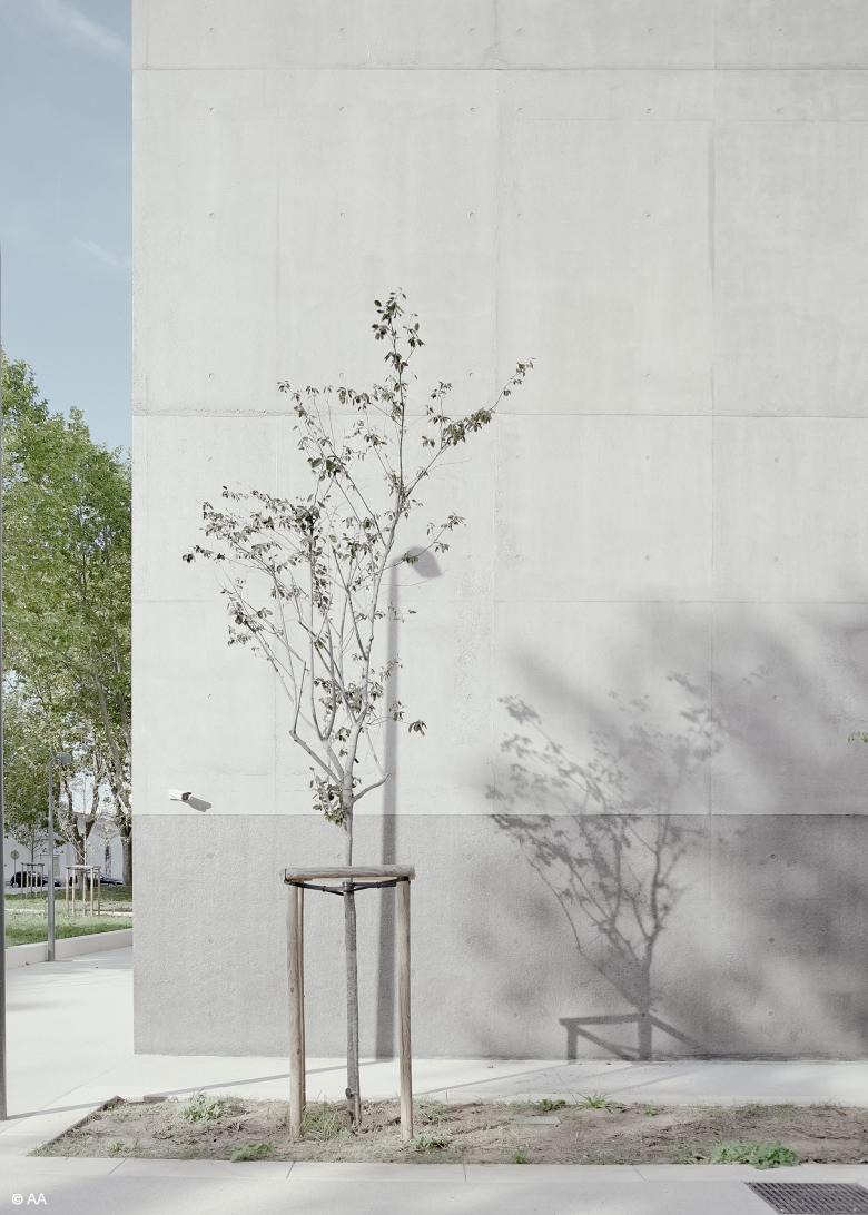 ESMA 艺术学校及学生宿舍丨法国蒙彼利埃丨Mateo Arquitectura-15