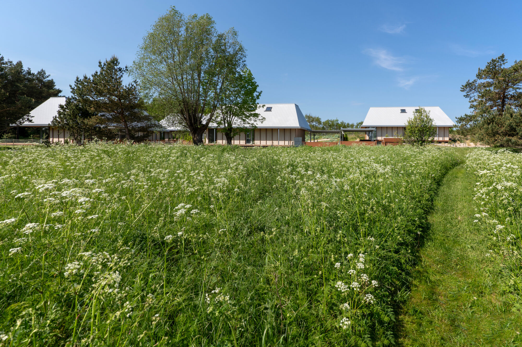 Curonians Houses 住宅设计丨立陶宛-9