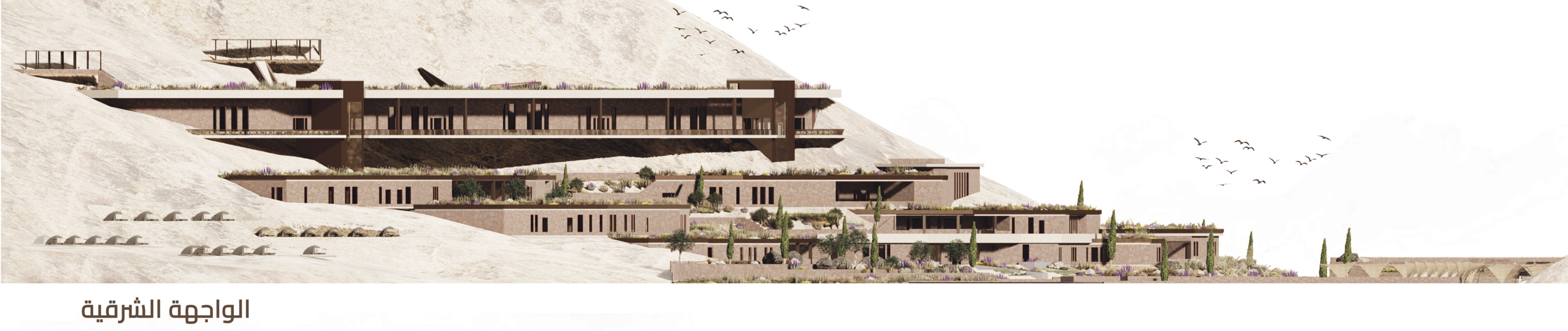 2025 年毕业设计丨Egypt-36