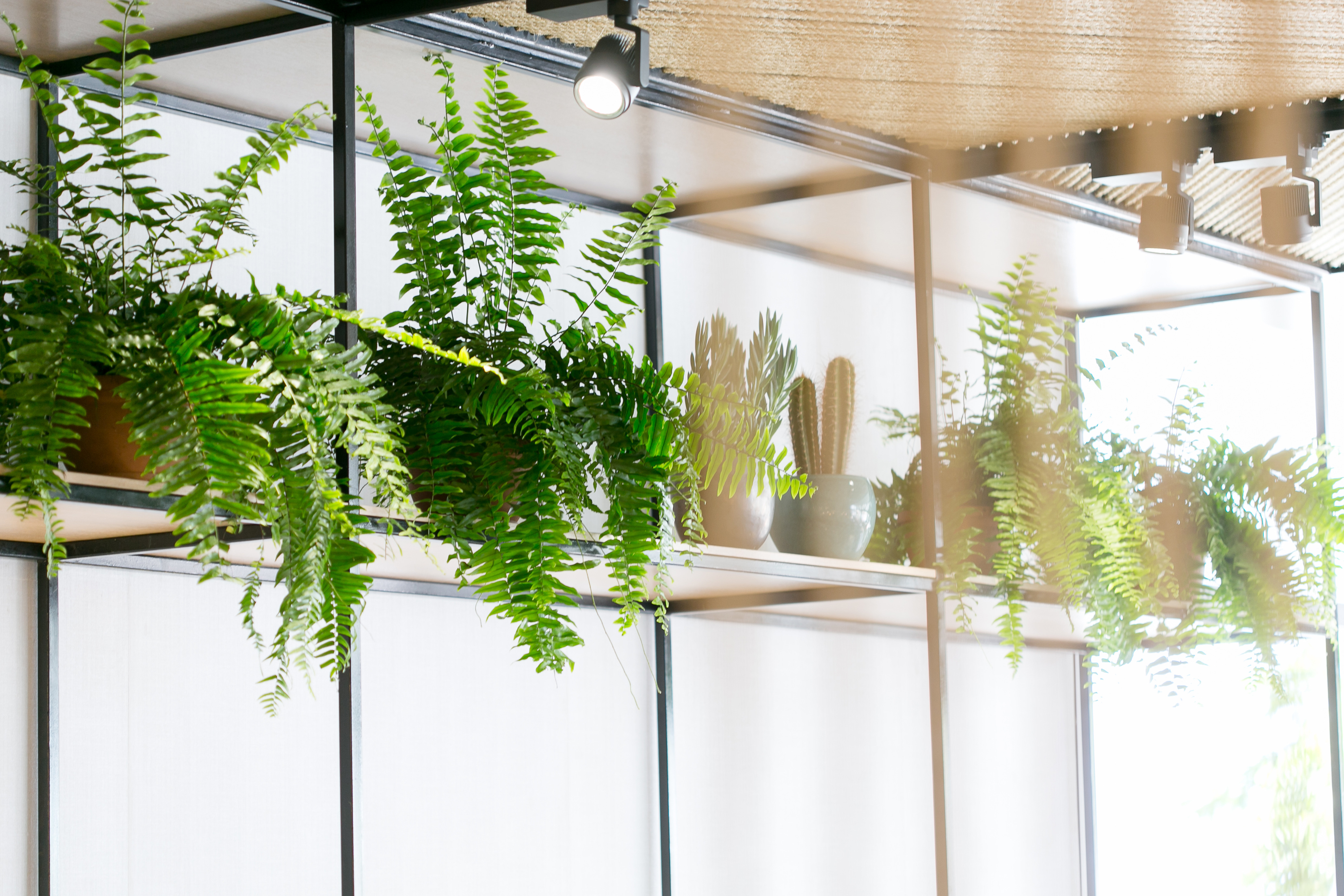 Radisson Blu 度假酒店 LaCanaria 餐厅-10