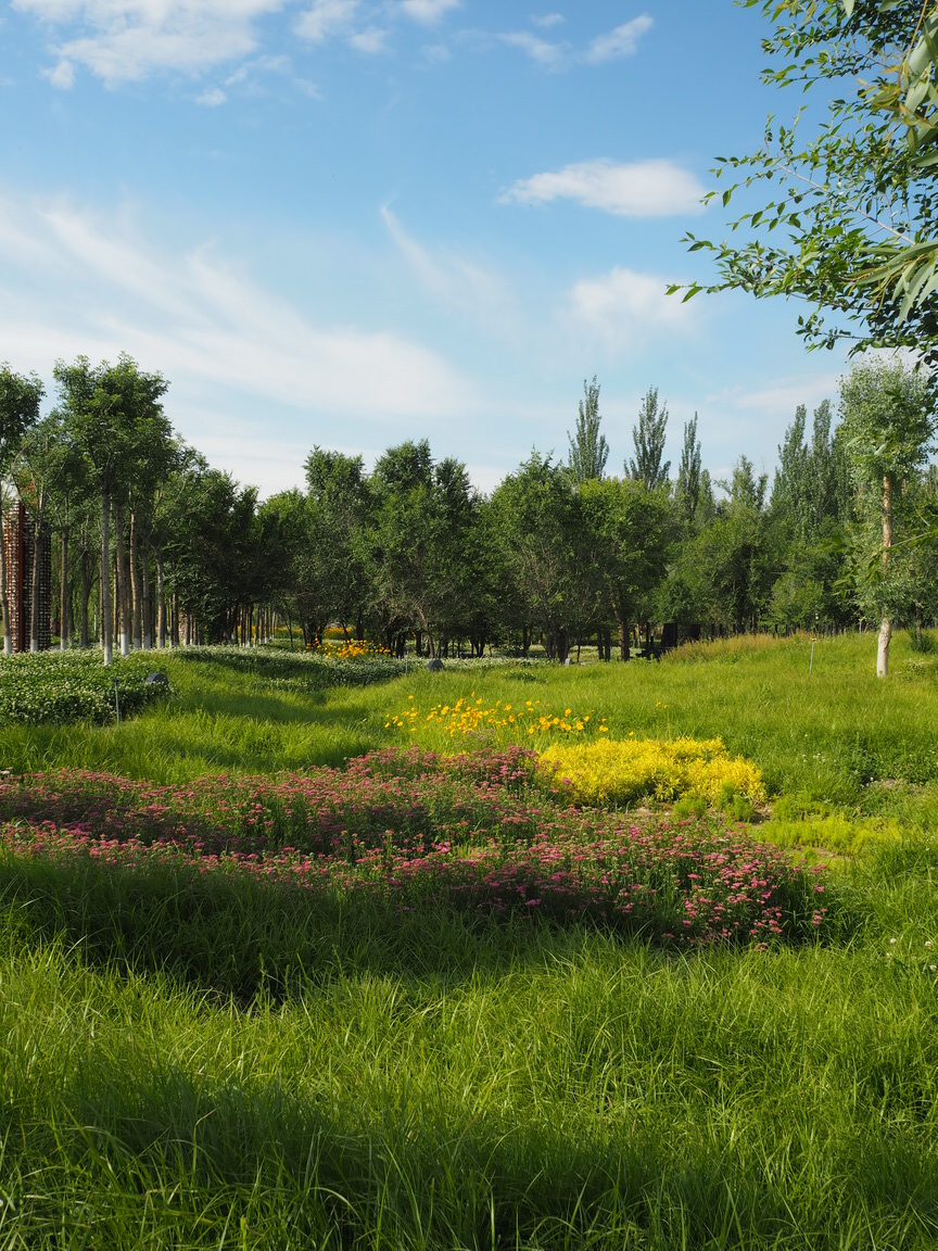 新疆博乐人民公园改造设计（A地块）丨中国新疆丨R  land北京源树景观规划设计事所-94