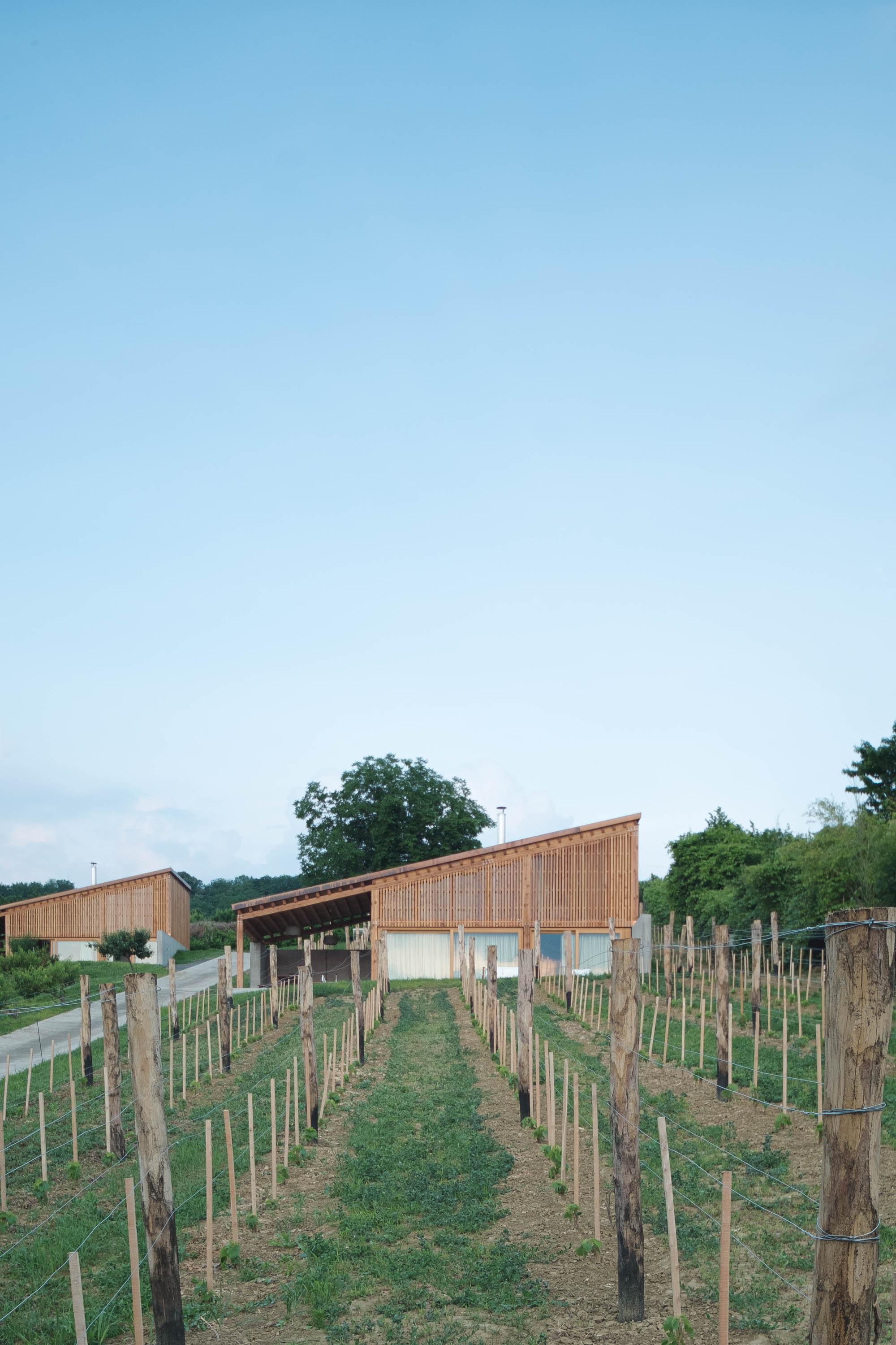 塞格德·罗奇丨匈牙利丨Építész Stúdió-32