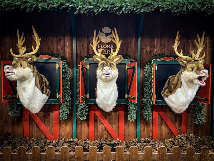 Flora Point圣诞装饰项目丨波兰华沙-12