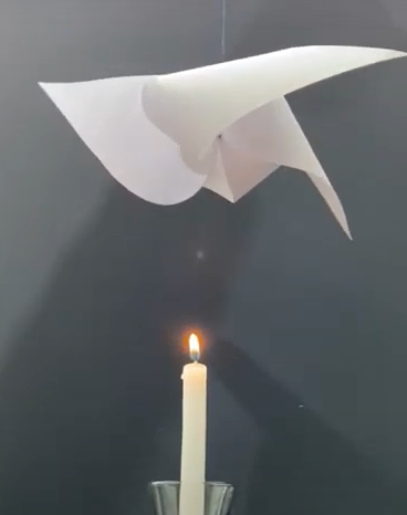 自然元素空间设计-21