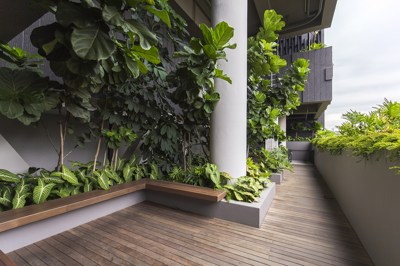 Gateway剧院,新加坡 / ONG&ONG-20