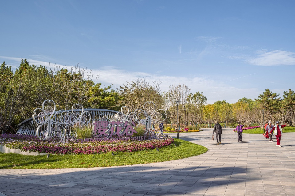 花漾之境:北小河公园樱花谷环境改造提升设计丨中国北京丨埊木设计（CAFA·A城市艺术创新中心）-22