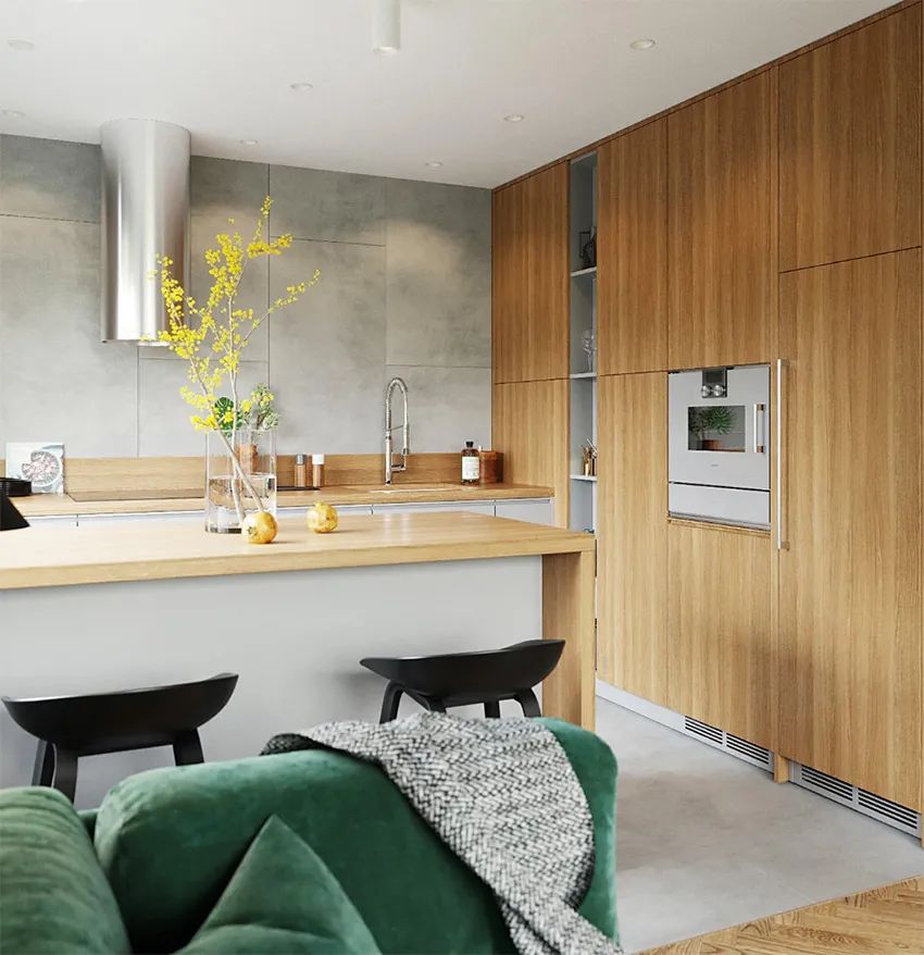 俄罗斯 Shubochkini Architects 作品赏析-37