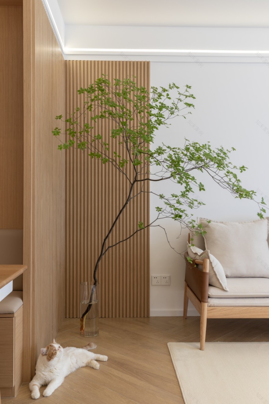 小户型日式原木风婚房设计,舒适惬意的喵汪之家-3