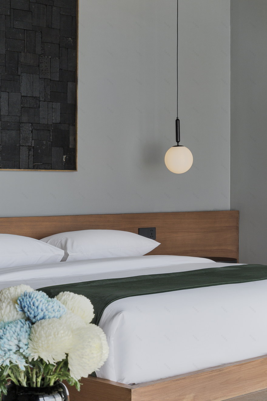 艺术别墅丨印度丨Lika Shahnazaryan-17