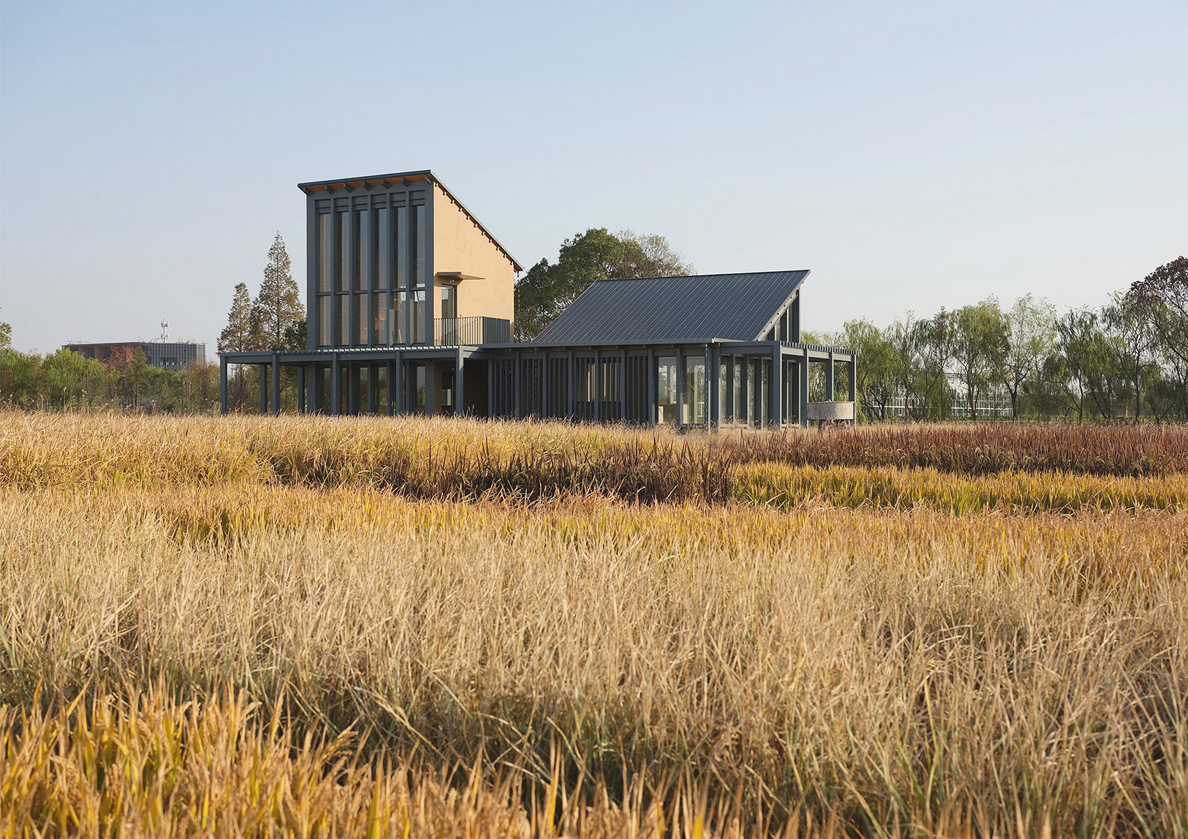 乌镇谭家湾稻田书局,浙江 / 东维建筑-18