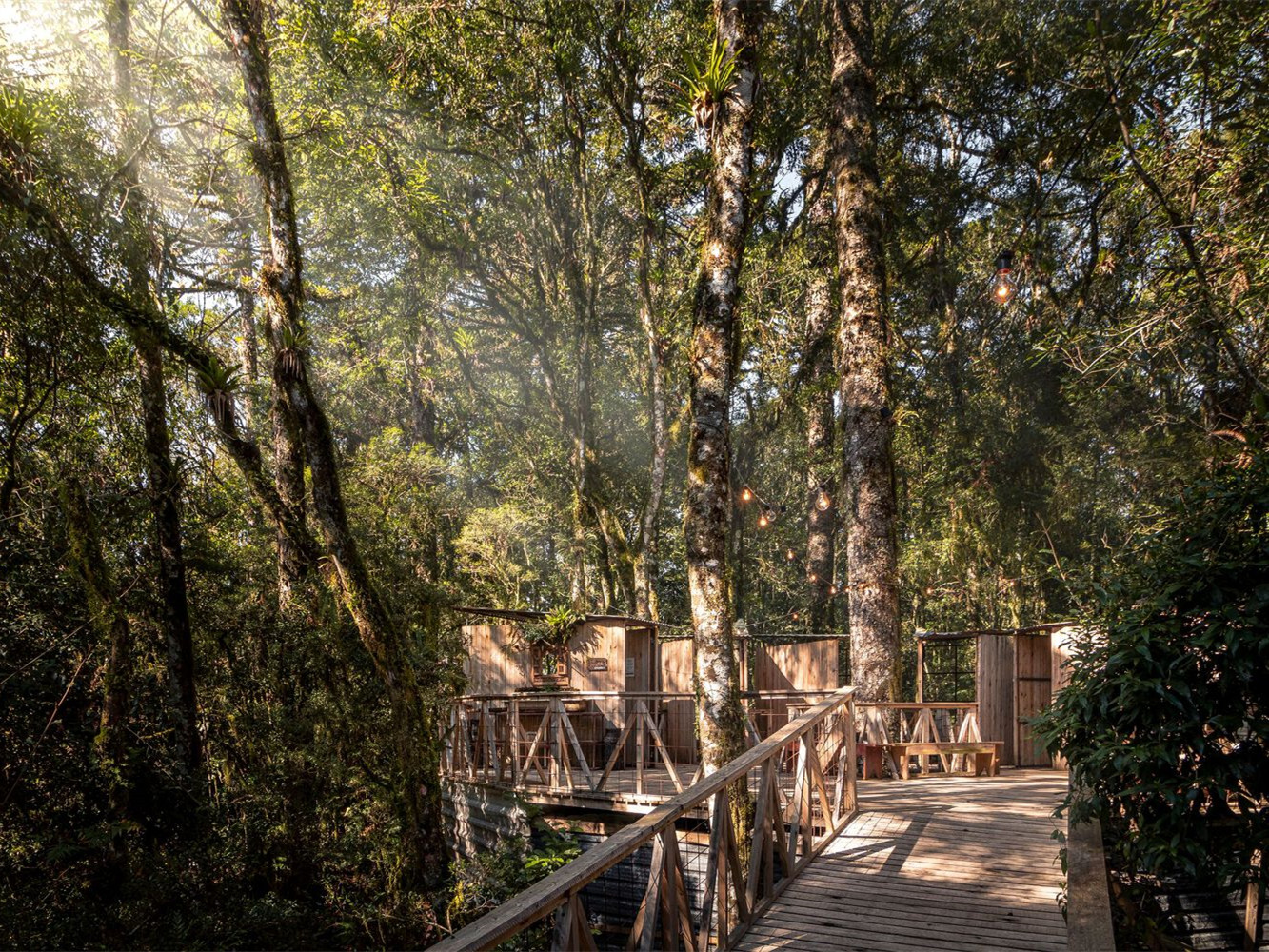 巴西 Casa da Mata 洗手间丨Luiza Jung Arquitetura 360-3