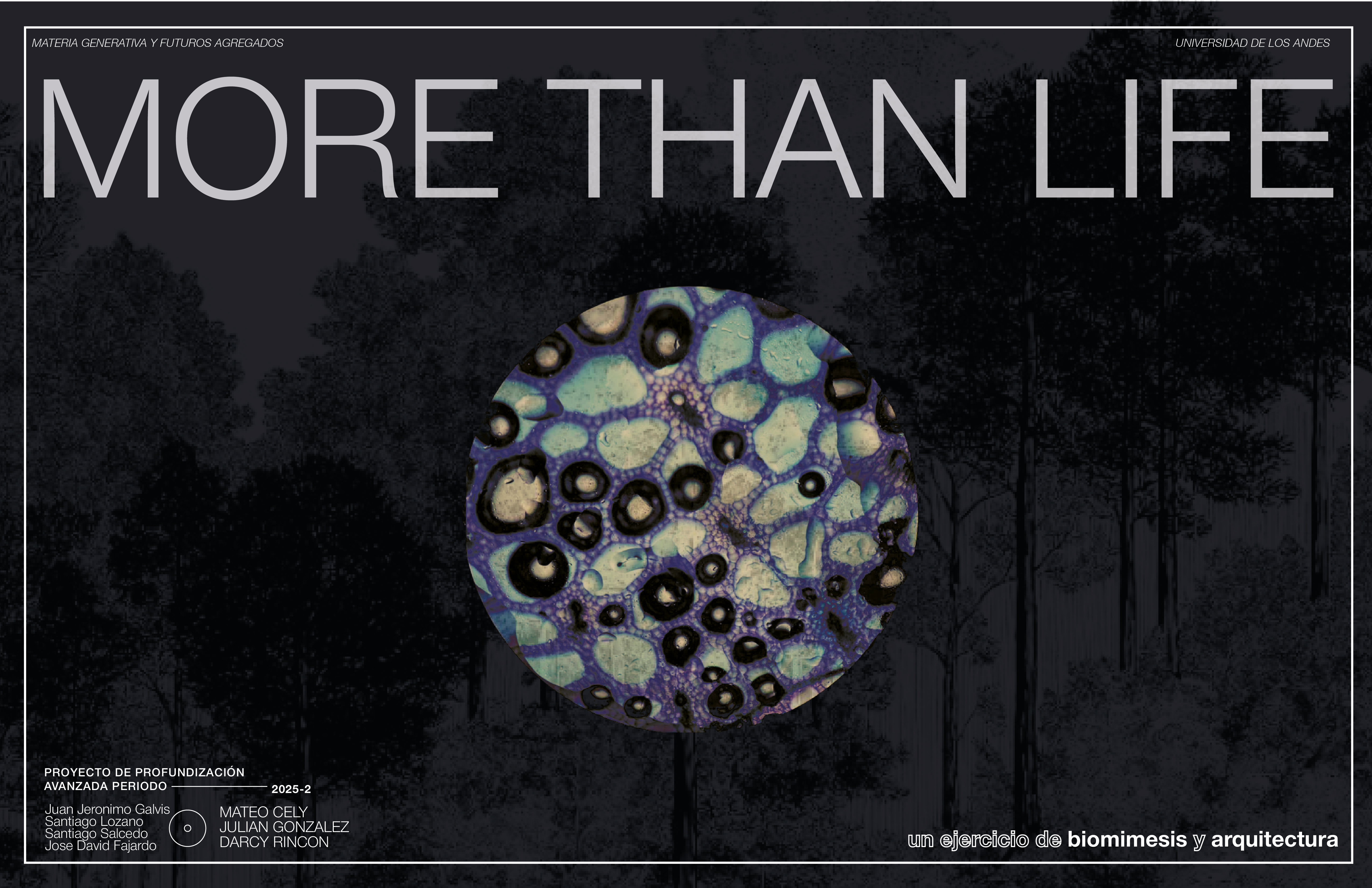 PROFUNDIZACIÓN MATERIA GENERATIVA Y FUTUROS AGREGADOS-0