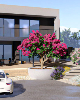 Projekt krajobrazne arhitekture – Otok Pašman