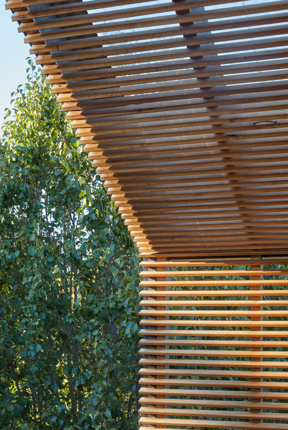 步道之家丨澳大利亚丨Ben Callery Architects-22