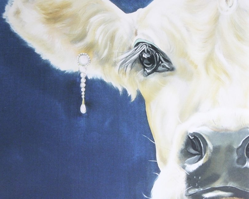 旧金山客厅重新设计项目丨美国丨blog  the redesign company-15