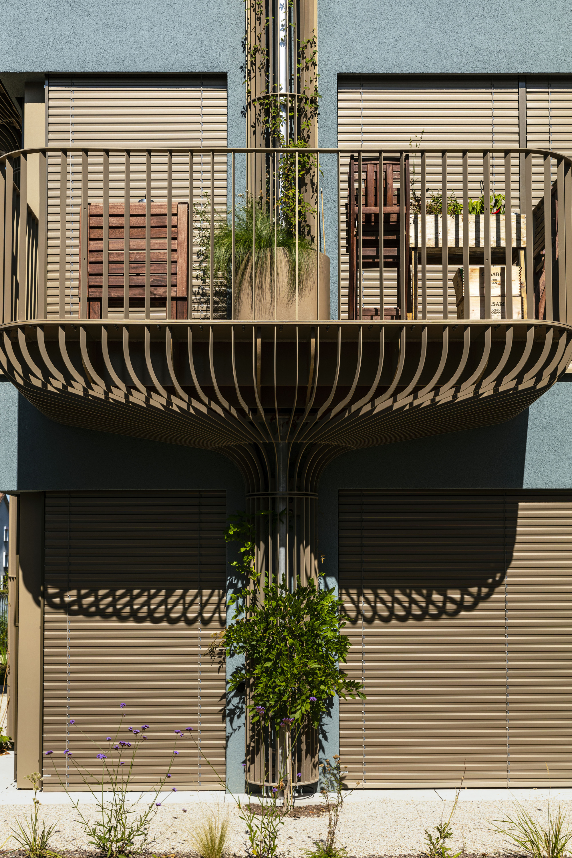 新林登花园大楼丨瑞士丨Volpatohatz-21