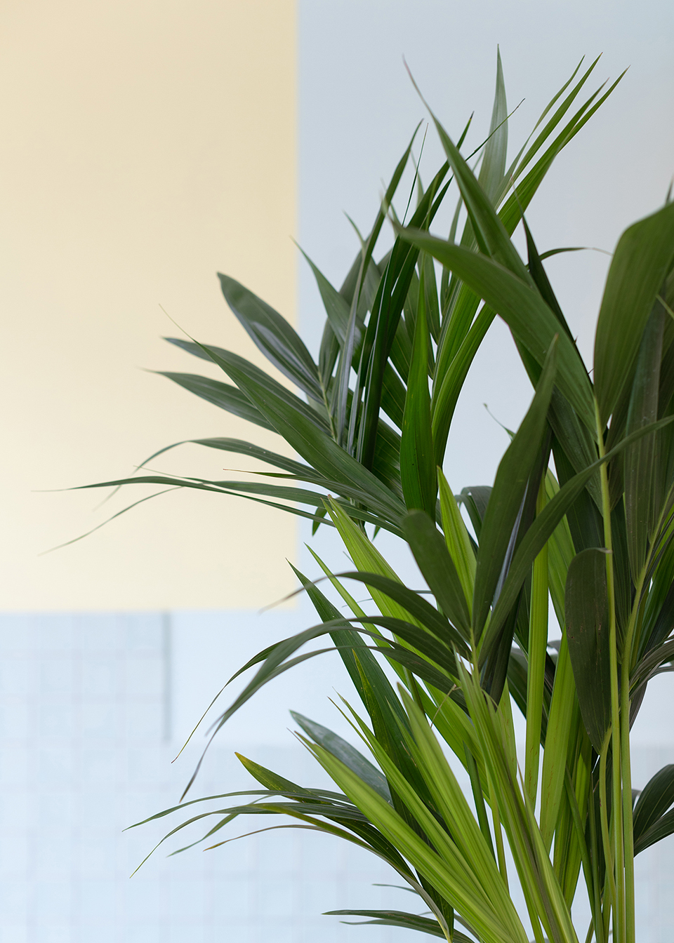 “漂浮现实”体验馆丨瑞士日内瓦丨BUREAU-42