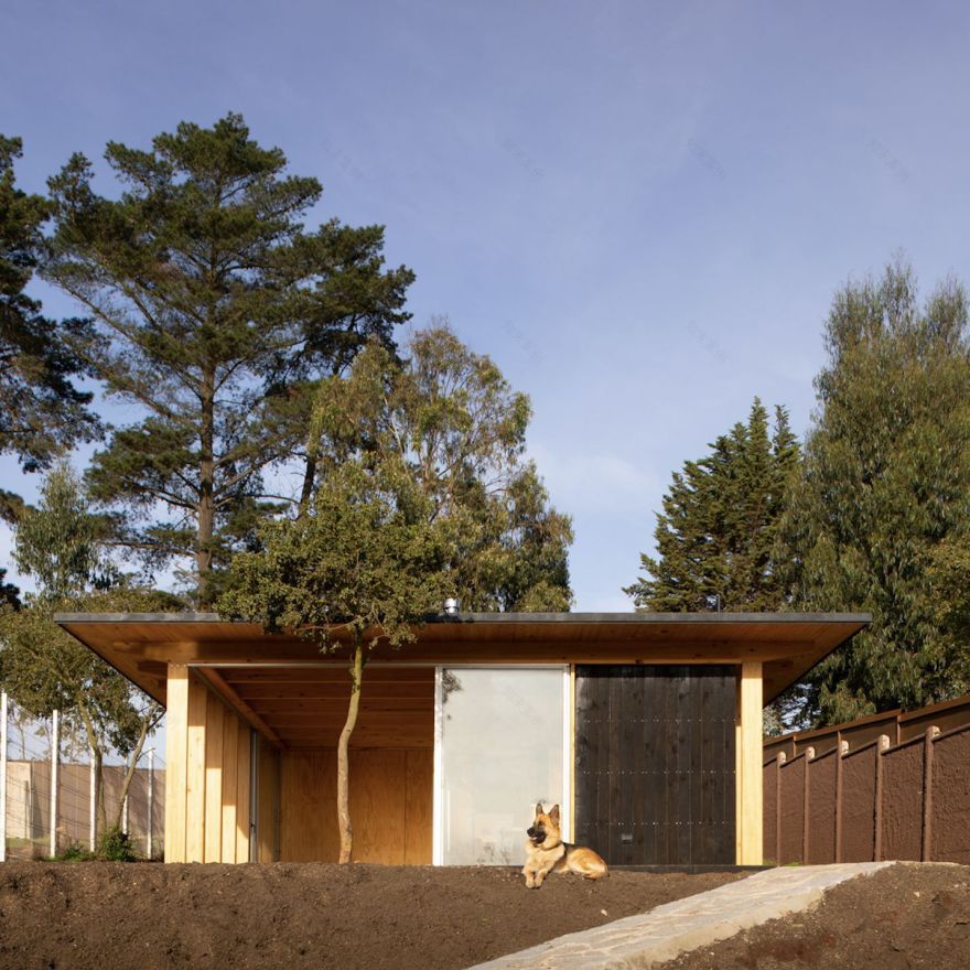 洛斯皮诺斯住宅丨智利丨Fantuzzi + Rodillo Arquitectos-28