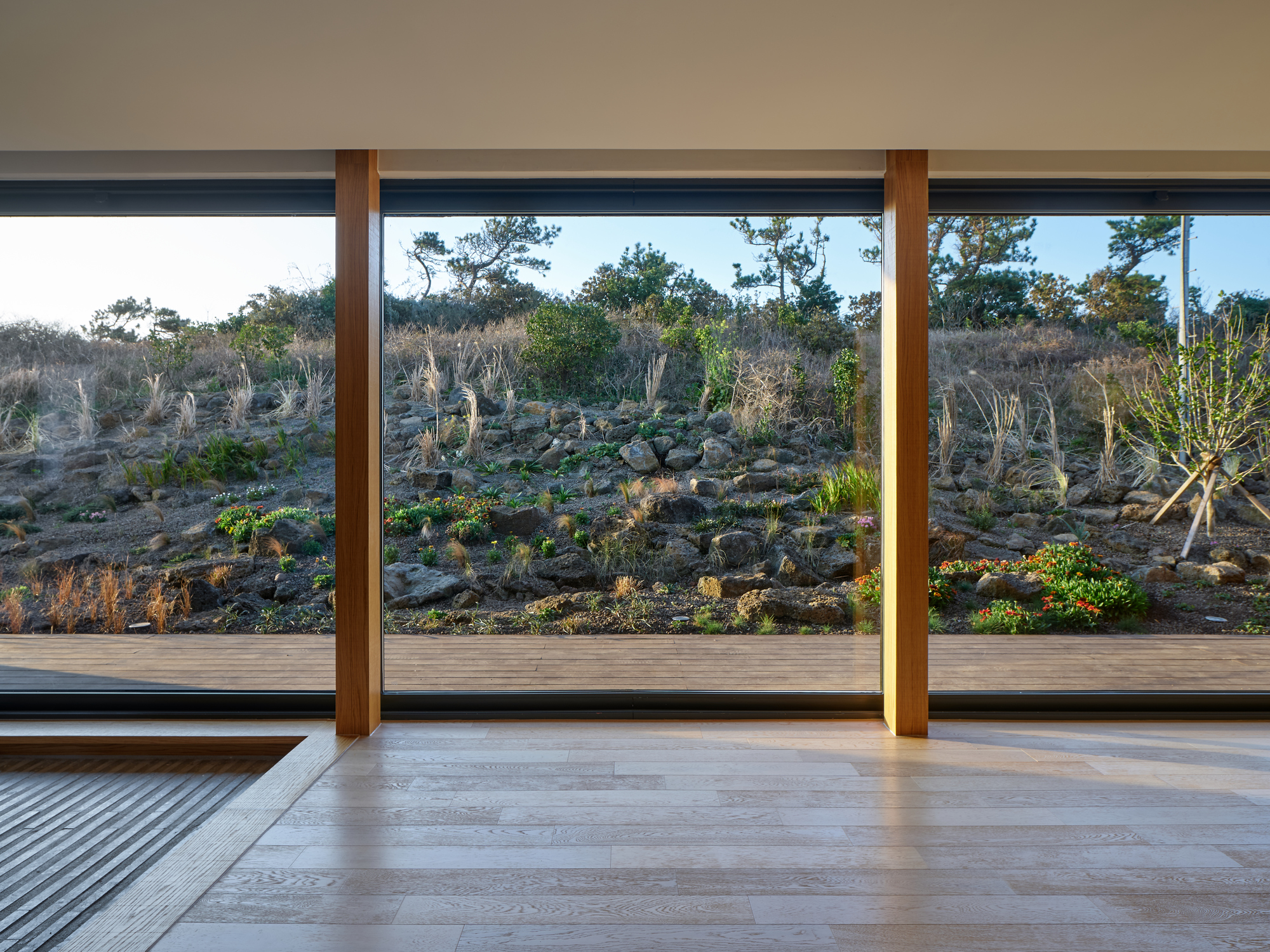 Summmoru House丨韩国丨NOMAL-50