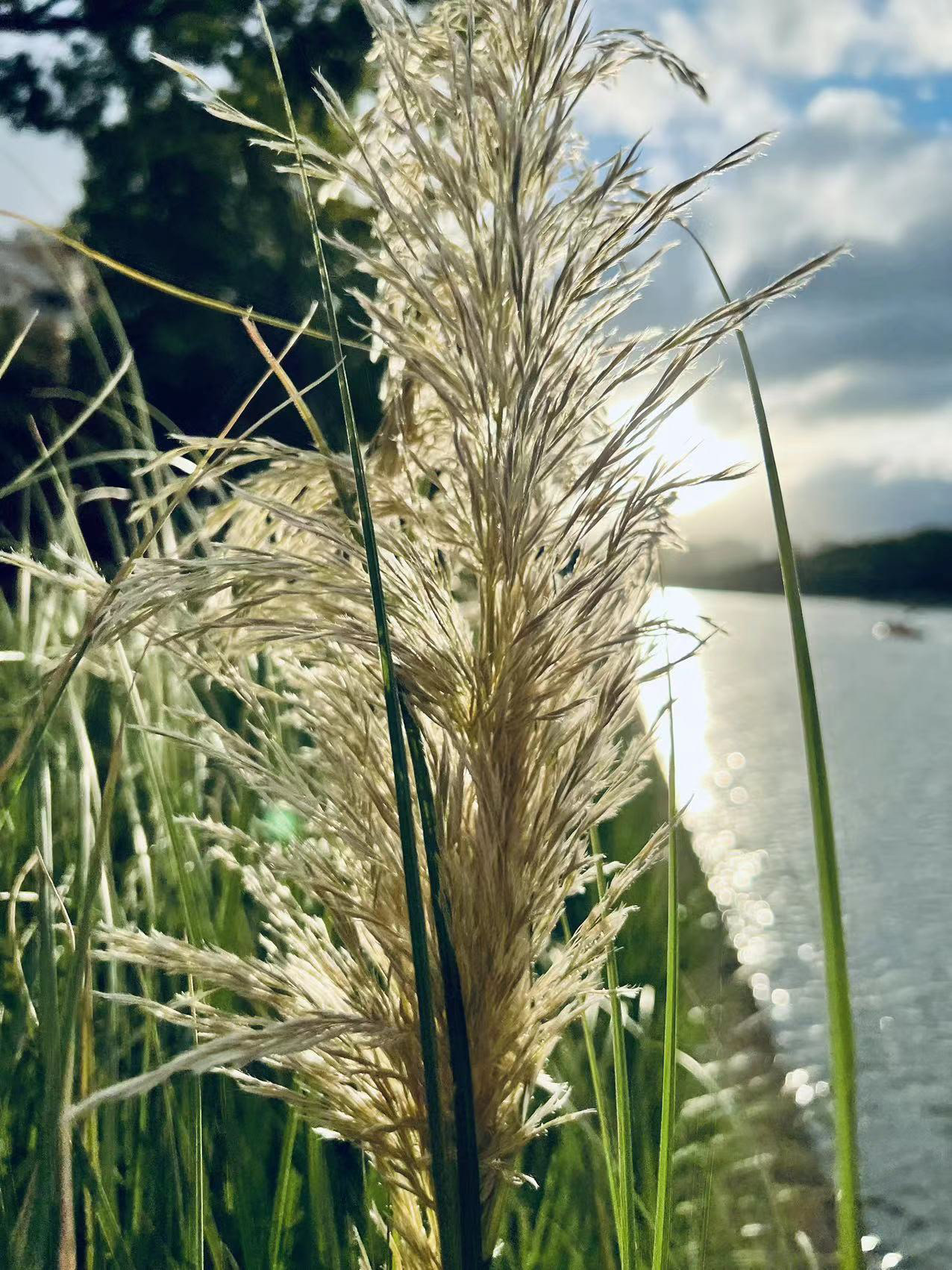 上海浦东张家浜 | Shanghai-2