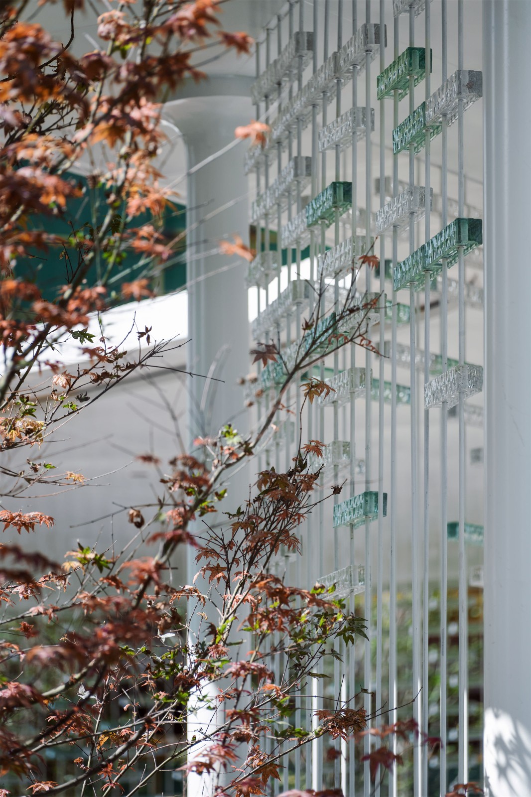 雅安领地正黄·翡翠公园丨中国大兴-10