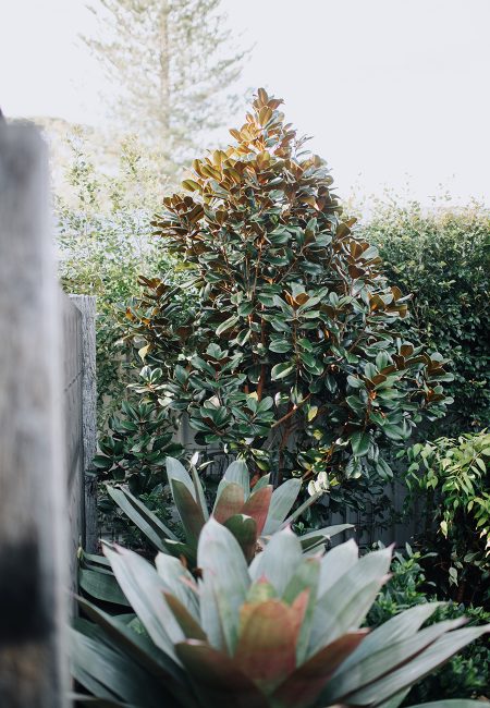 赫斯基森项目  GNK景观设计公司（这里GNK为特定名称，若无更多背景难以更精准翻译，推测一般为专业领域的公司名称，Landscapes可理解为景观设计公司等相关含义） -13