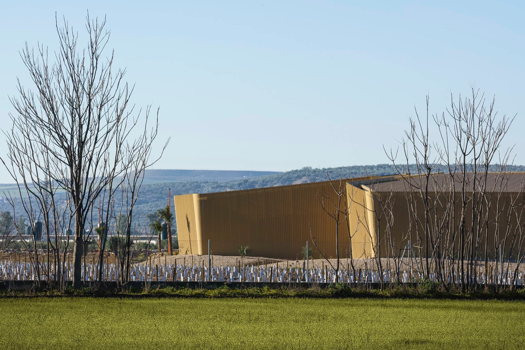 Acesur橄榄油榨油厂丨Mollinedo Arquitectura-14