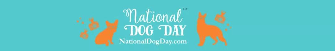 国际爱犬日特别策划 | 创意犬屋设计大赏-0