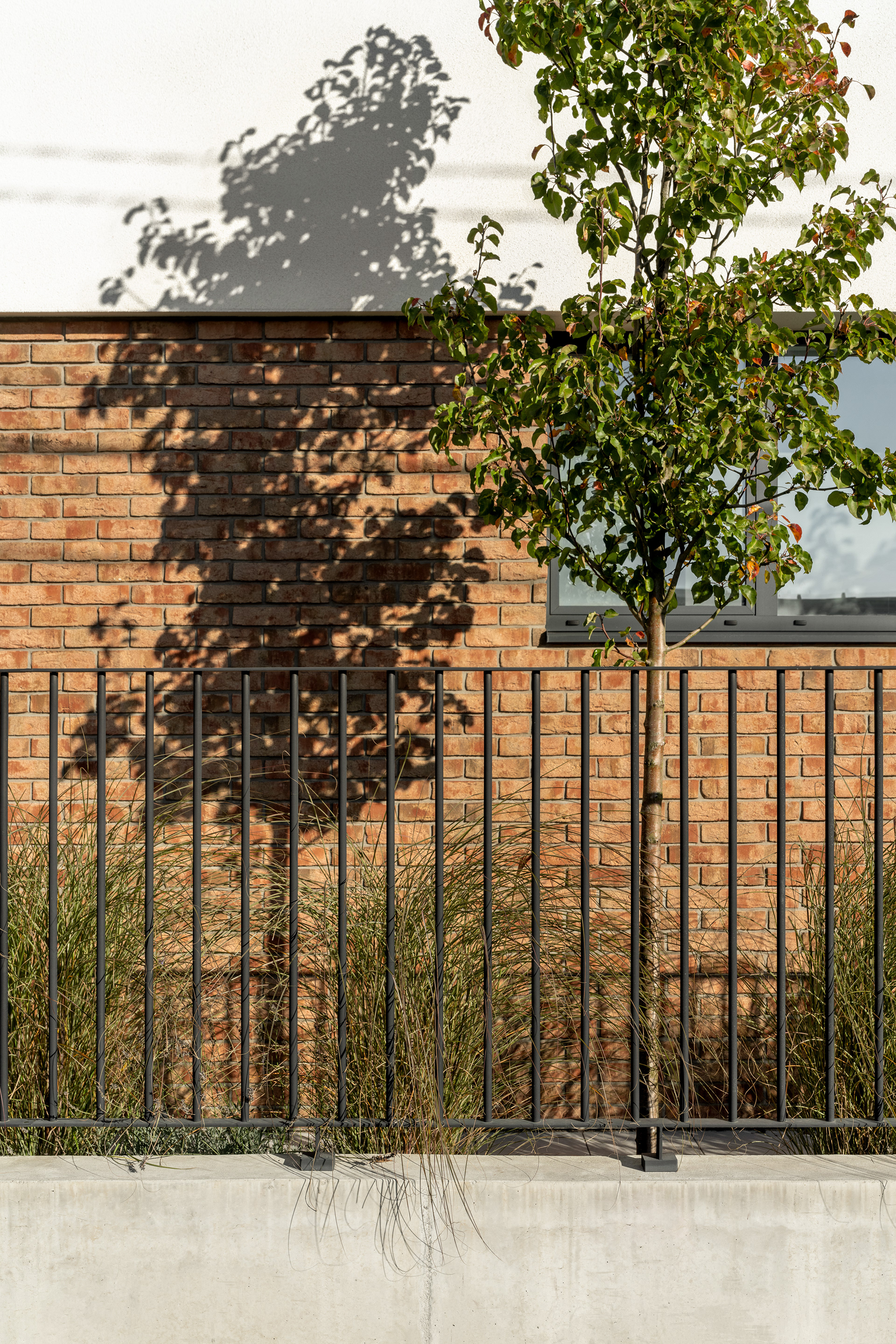 梅多瓦别墅丨乌克兰利沃夫-21