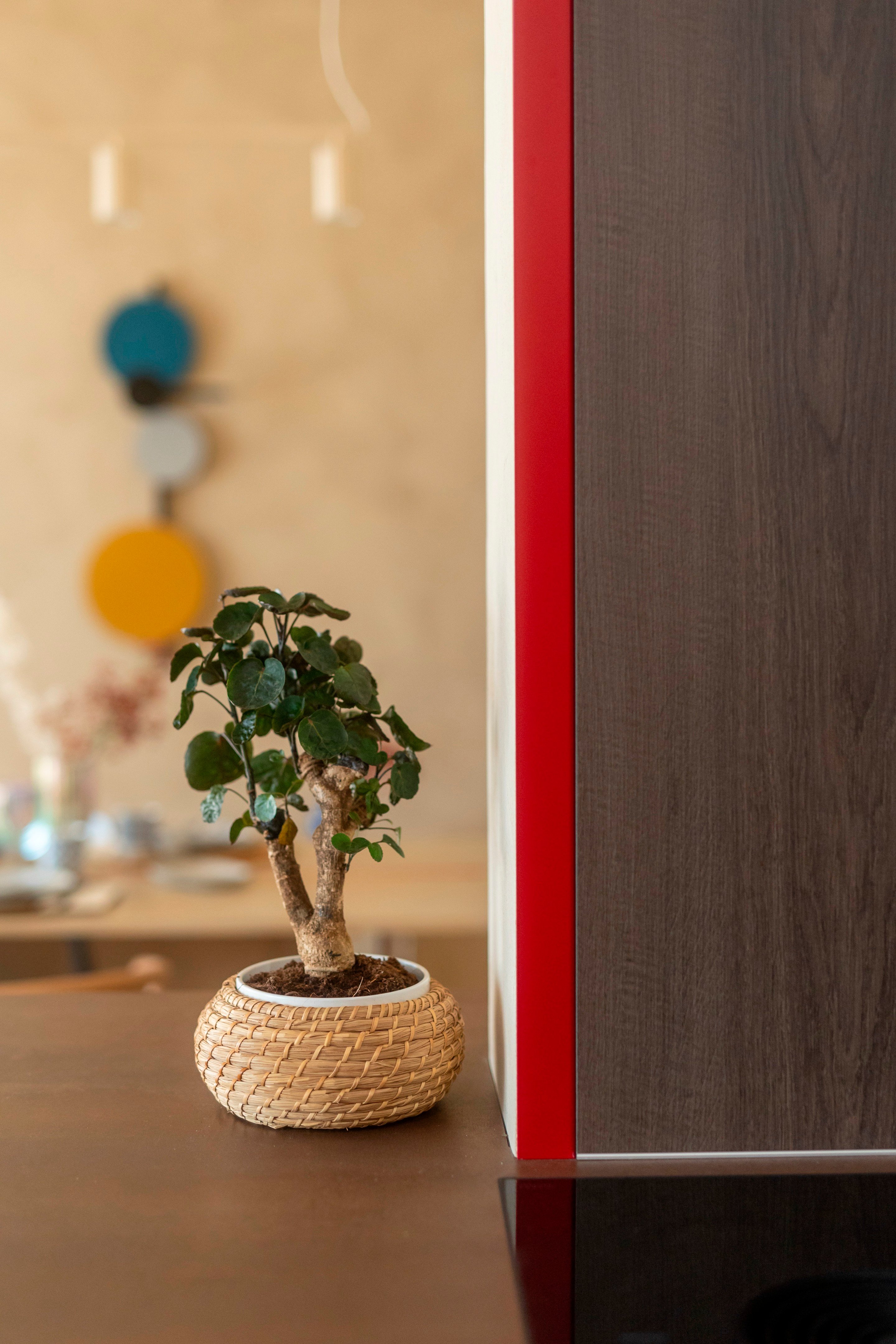 PO 公寓丨意大利丨italianbark studio-22