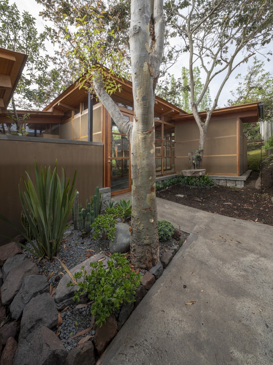 House Among Trees / El Sindicato Arquitectura-32