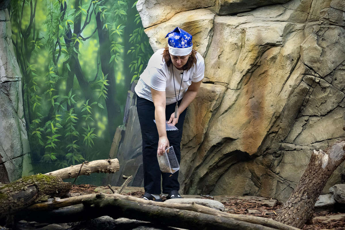 莫斯科水族馆水獭和海豹围栏及展区更新丨俄罗斯莫斯科-29