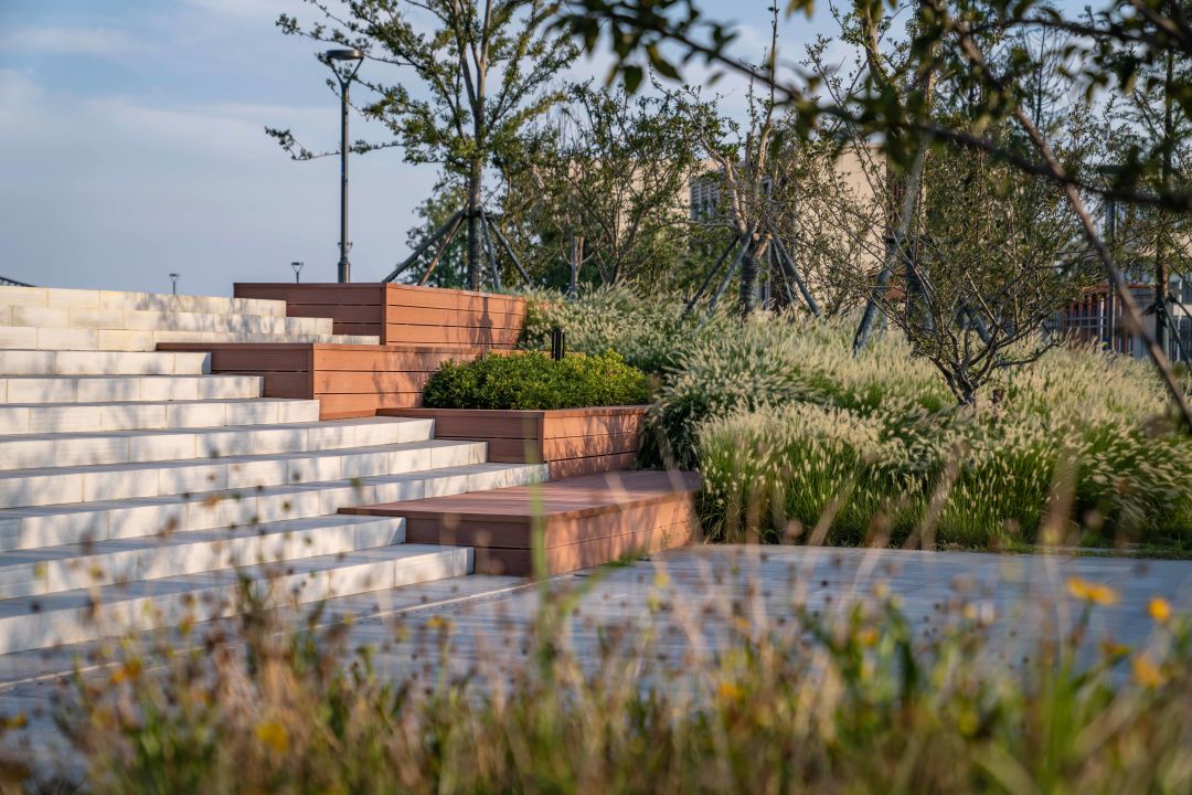 无锡太湖流域小溪港鱼咀公园丨中国无锡-15